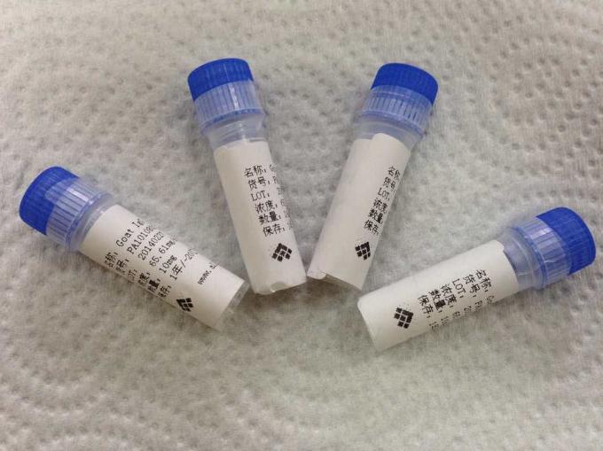 반대로 - Tetrahydrocannabinol 주문 단일 클론항체 동물 항체