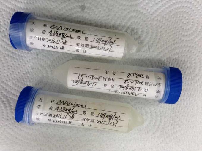 반대로 쥐 - Buprenorphine Monoclone 항체 약물 남용