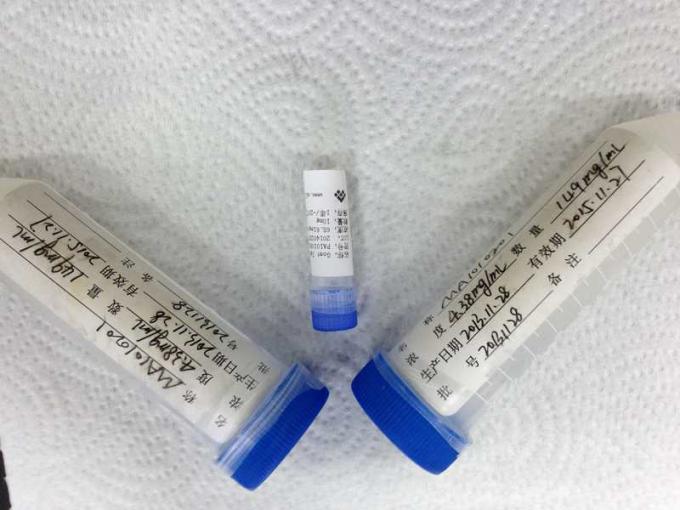 Benzodiazepines - IVD 진단을 위한 BSA 합성 항원