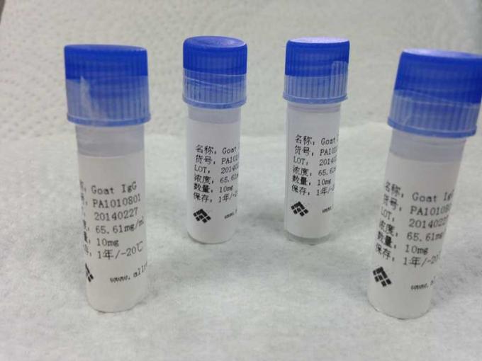 N의 Dimethy1-3,4-Methylenedioxyphenethyamine-BGG 합성 물질 항원