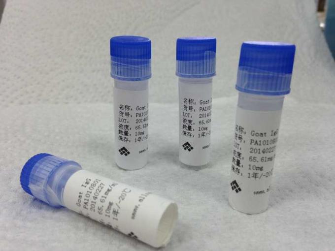 직업적인 마리화나 BSA 합성 항원 결합되는 약물 남용