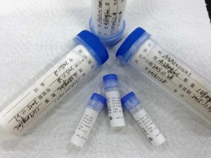 Vitro 진단 연구를 위한 높은 감도 HSV-1 재조합형 항원