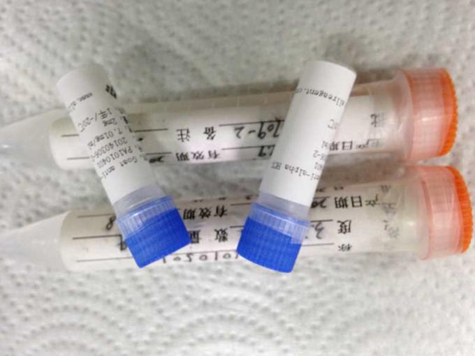 FIA 분석실험을 위한 트로포닌 I 재조합형 항원 감염증