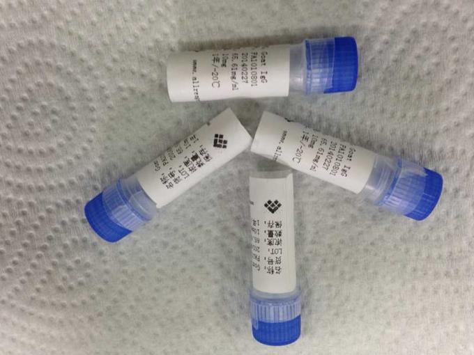 막 분석실험을 위한 결핵에 의하여 순화되는 재조합형 단백질