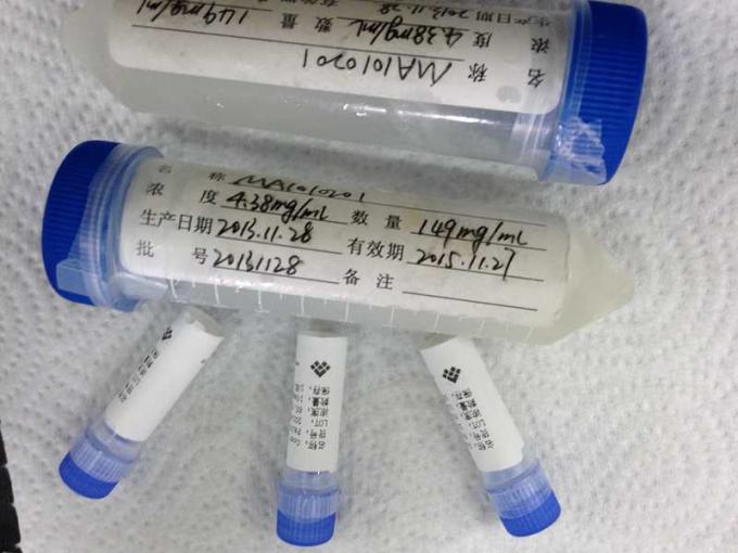반대로 쥐 - IVD 생산을 위한 인간적인 RBC Mab 2 하이브리도마 단일 클론항체 약물 남용