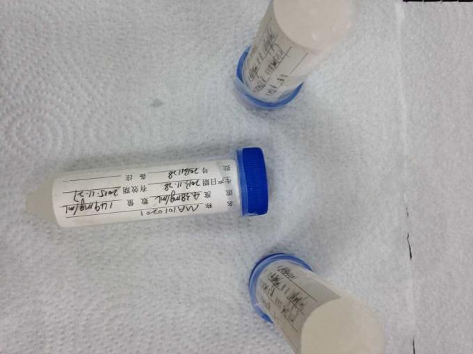 반대로 쥐 - 인간적인 RBC Mab 1 하이브리도마 단일 클론항체