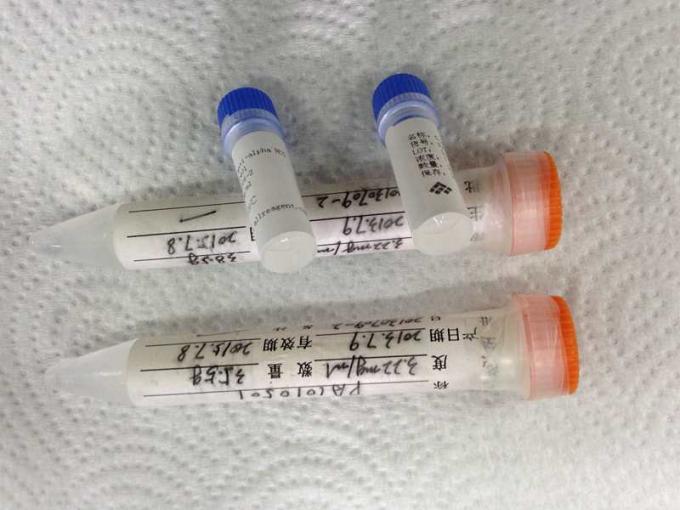 IVD 연구를 위한 쥐 반대로 알파 HCG Monoclone 항체 약물 남용