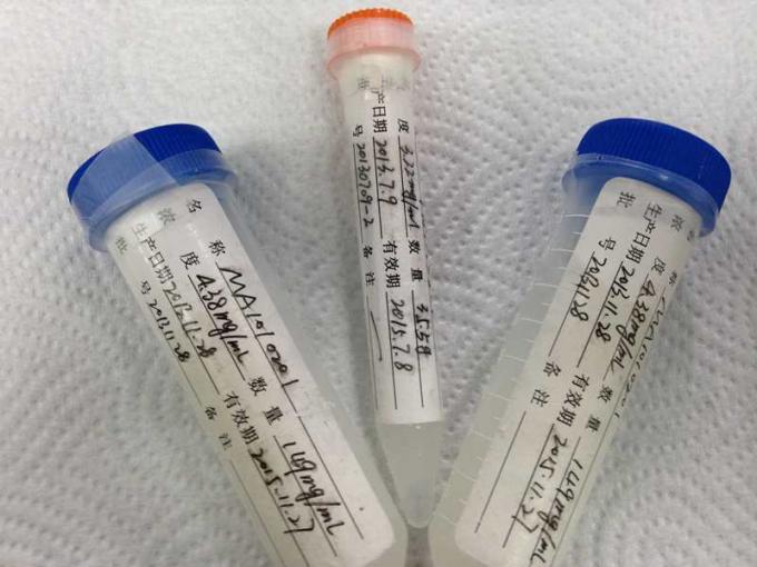 반대로 쥐 - 막 분석실험을 위한 HBeAg Mab 2 하이브리도마 단일 클론항체