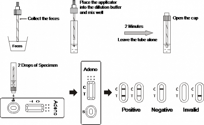 비브리오 cholerae O1 (VC O1) 세륨을 가진 급속한 시험 카세트 (대변)