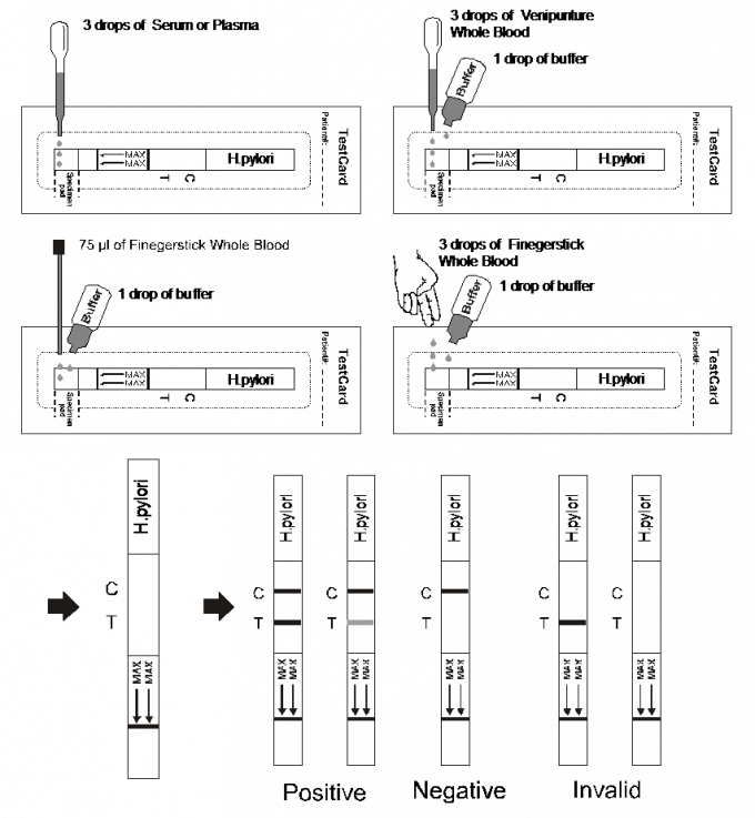 H.pylori 항체 옆 교류 Immunochromatographic는 지구, 전혈/혈청/플라스마를 분석합니다