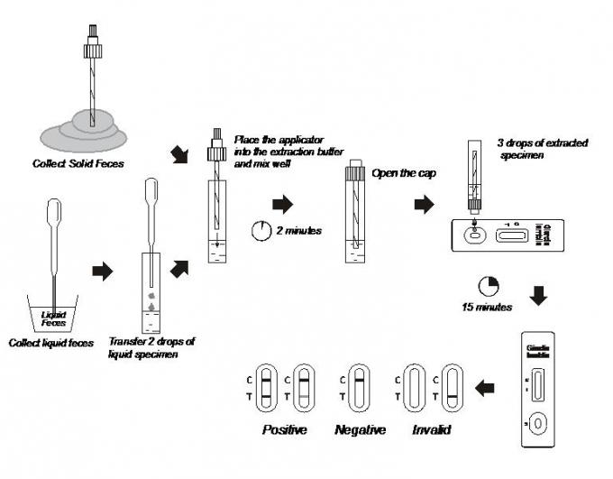 높은 감도 Giardia lamblia 급속한 시험 카세트, 옆 흐름 시험 지구