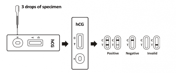 가정/병원 급속한 시험 장비 HCG 하나 단계 임신 검사 지구