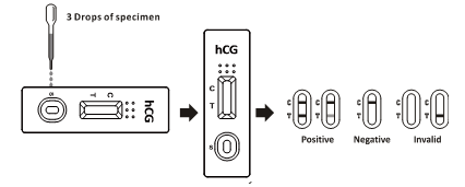 사용이 1개 단계 OTC 인간 Chorionic Gonadotropin HCG 탐지 급속한 진단 장비에 의하여 집으로 돌아옵니다