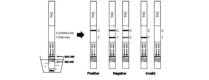 편리한 마리화나 THC THC 소변 시험 장비 단 하나 시험 지구/약물 남용은 단식합니다