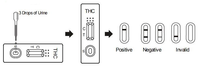 편리한 마리화나 THC THC 소변 시험 장비 단 하나 시험 지구/약물 남용은 단식합니다