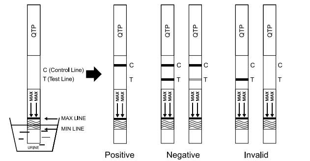 인간적인 소변에 있는 약물 남용 시험 장비 Quetiapine 편리한 정확한 탐지