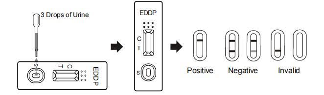 인간적인 소변에 있는 에틸렌디아민 dimethylphosphinic 산 EDDP의 품질 탐지를 위한 급속한 시험