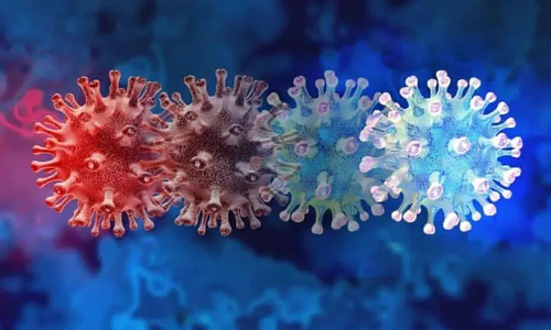 에 대한 최신 회사 뉴스 ALLTEST BIOTECH의 신종 코로나바이러스 변이 균주 검출에 대한 참고 사항
