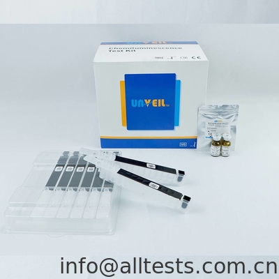 Good price 자동인 Interleukin-6 (IL-6) 화학루미네센스 면역 측정법 분석기 온라인으로
