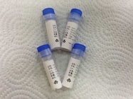 anti - Tetrahydrocannabinol Custom Mab Mouse Monoclonal Antibody