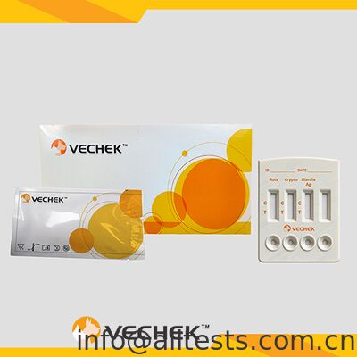 좋은 가격 10분 판독 시간, 높은 정확도의 분변용 로타바이러스 크립토스포리디움 지아르디아 람블리아 항원 복합 신속 검사 카세트 온라인으로