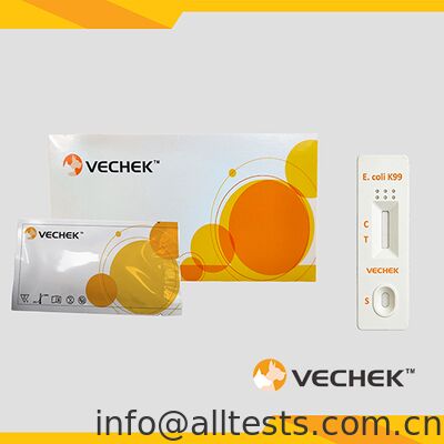 좋은 가격 소 E.coli 항원 신속 검사 카세트 배설물 10 분 읽기 시간 높은 정확성 간단한 조작 온라인으로