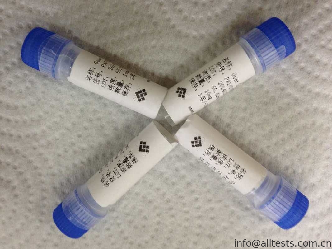 Goat Anti Alpha HCG Polyclonal Antibody Infectious Disease For In Vitro Manufacture