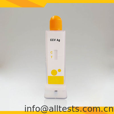 좋은 가격 10분 CCV 항원 급속 검사 키트 (CCV Antigen Rapid Test Kit) 는 면역 염색체 촬영을 사용하여 배설물/구토에서 개 코로나바이러스를 검출합니다. 온라인