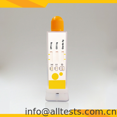 Good price CPV CCV Giardia Lamblia 의 비뇨성 질환에 대한 신속 진단 테스트 키트 온라인으로