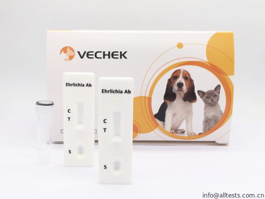 Good price Ehrlichia 개속 항체 급속한 시험 카세트, 사용하기 편한 급속한 혈액 검사 온라인으로