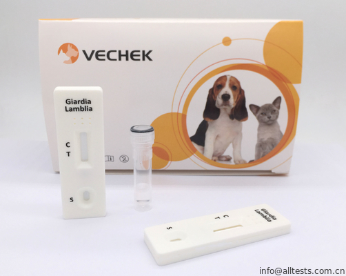 Good price 정확한 Giardia 항원 카세트 샌드위치 체재에 근거를 두는 급속한 시험 장비 온라인으로